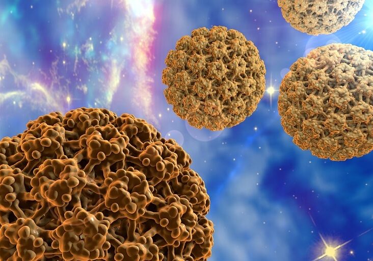 Human Papillomavirus